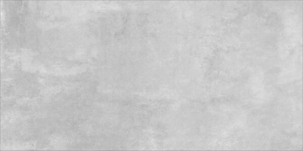 PORCELANATO SOFT CONCRET MATE 62.2X123cm