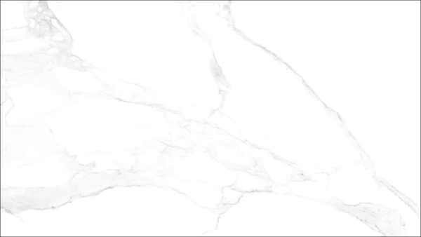 PORCELANATO HERITAGE CARRARA PULIDO 80X160cm